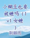 有哪些小糊豆可以追