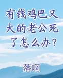 有钱鸡巴又大的老公死了怎么办？小说全集