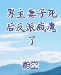男主妻子死后反派疯魔了 蔚空小说