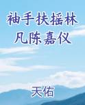 袖手扶摇林凡陈嘉仪官场小说