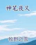 神笔夜叉全文阅读